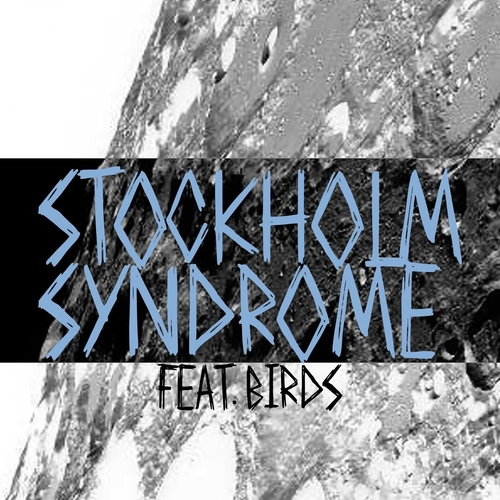 Stockholm Syndrome AU feat. Birds - The User [NEIN2233]